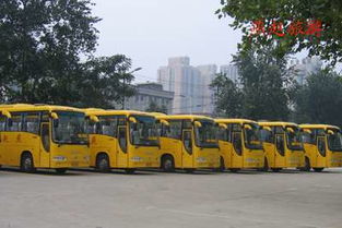 石家庄燕赵旅游汽车公司 汽车销售新选择，海量精选高清图片库助力决策